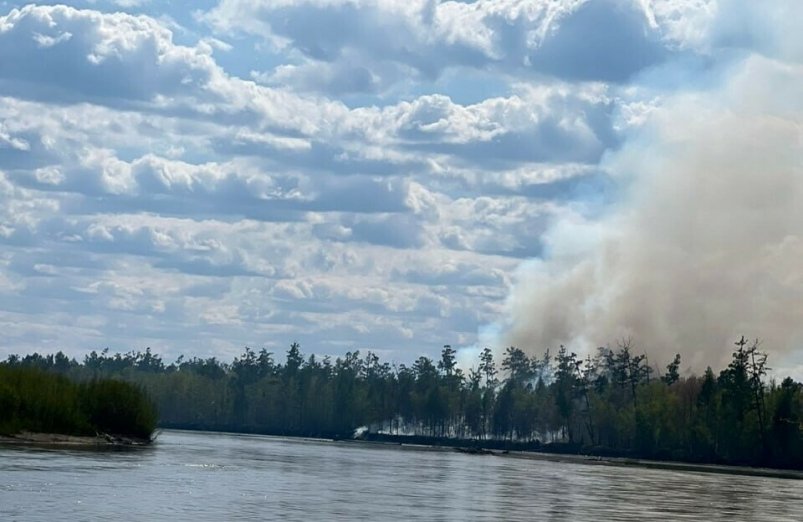 Лесной пожар. Архивное фото kamgov.ru