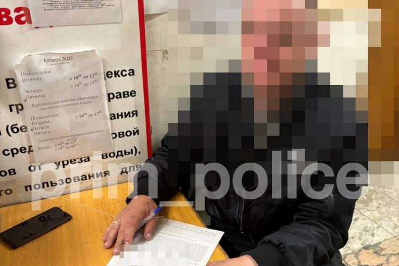 В Находке задержали мотоциклиста, сбившего не переходе девочку и скрывшегося с места ДТП ГАИ Находки