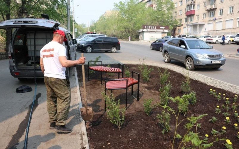 Озеленение пресс-службы правительства Забайкальского края