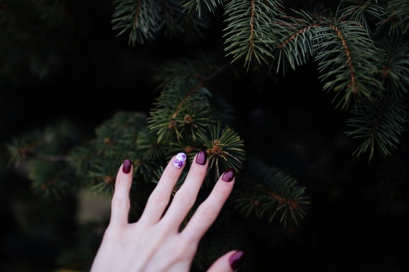 Тёмно-вишнёвый маникюр unsplash.com