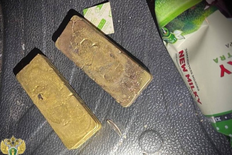 Иностранец задержан за попытку провоза 3,5 кг золота через границу прокуратура Амурской области