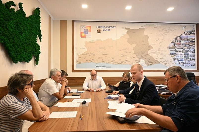В Сочи на Градостроительном совете рассмотрели вопросы нормативного регулирования пресс-служба администрации Сочи