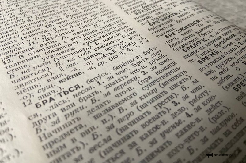 Ваш мозг – авторитетный словарь, когда вычеркните лишнее слово в ряду ИА NovostiRostov