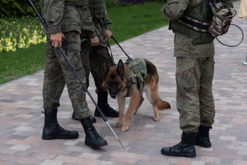 С днём пограничника  поздравил ветеранов и военнослужащих губернатор Ставрополья Артём Хорошилов, ИА Stavropol.Media