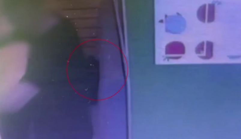 Кража сумки Кадр из видео