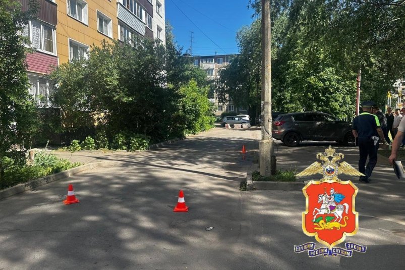 Женщина-водитель насмерть задавила трехлетнюю девочку в Подмосковье Пресс-служба МВД России