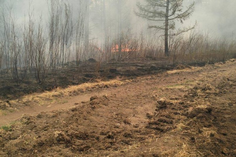 Лесной пожар в Баунтовском районе АО "Хиагда"