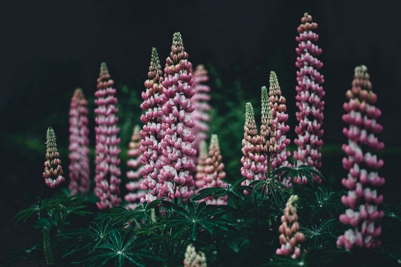 Тематическое фото unsplash.com (18+)