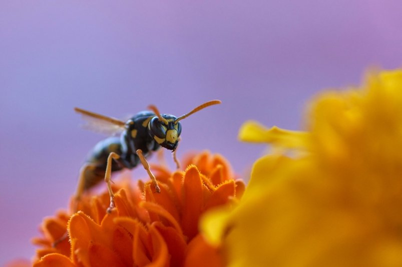 Тематическое фото unsplash.com