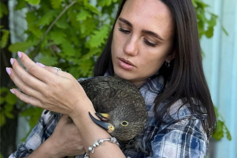 Руководитель регионального отделения Всероссийского общественного движения "Волонтеры культуры" Ростовской области Кристина Черныш и попугай по имени Жорик Из архива Южного парка птиц "Малинки"