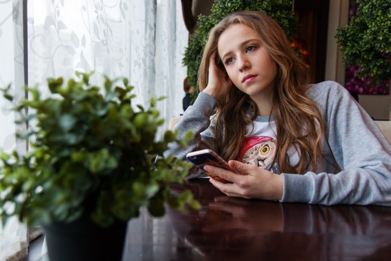 Тематическая иллюстрация https://pxhere.com/ru/photo/1172564