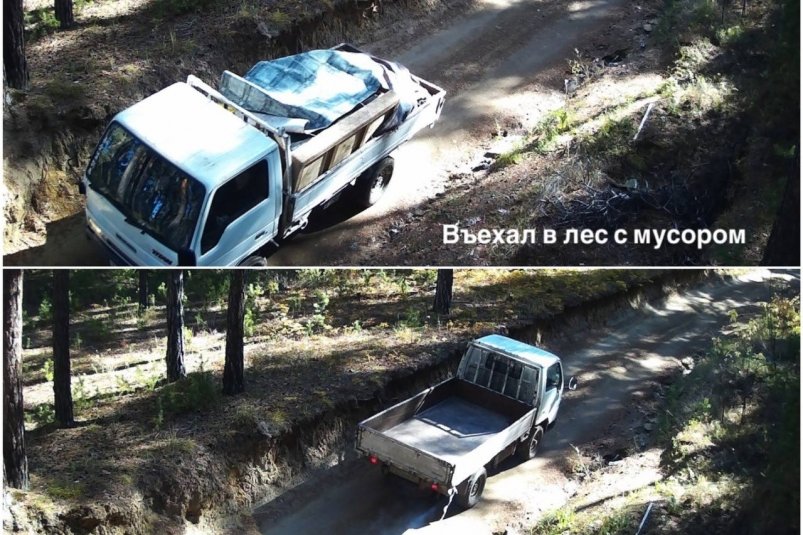 Фотоловушки в лесах Улан-Удэ выявляют нарушителей администрация г. Улан-Удэ