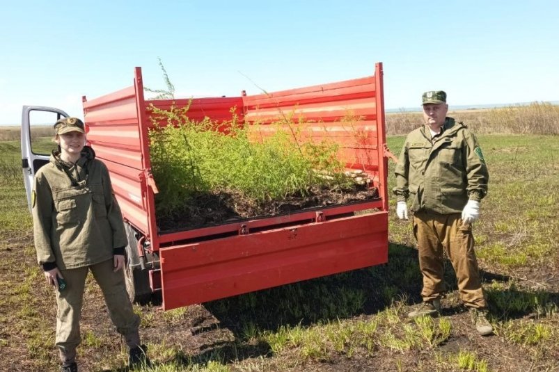 Забота о флоре пойдет на пользу и животному миру Дирекция по охране и использованию животного мира и ООПТ Амурской области