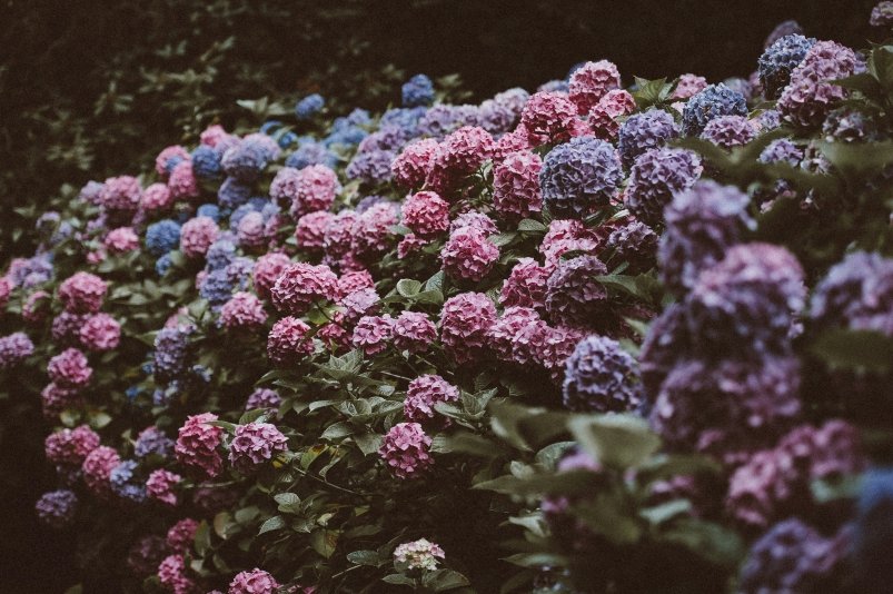 Тематическое фото unsplash.com (18+)