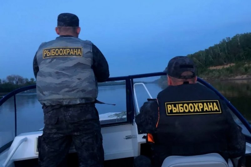 Тематическое фото пресс-служба Сахалино-Курильского ТУ Росрыболовства