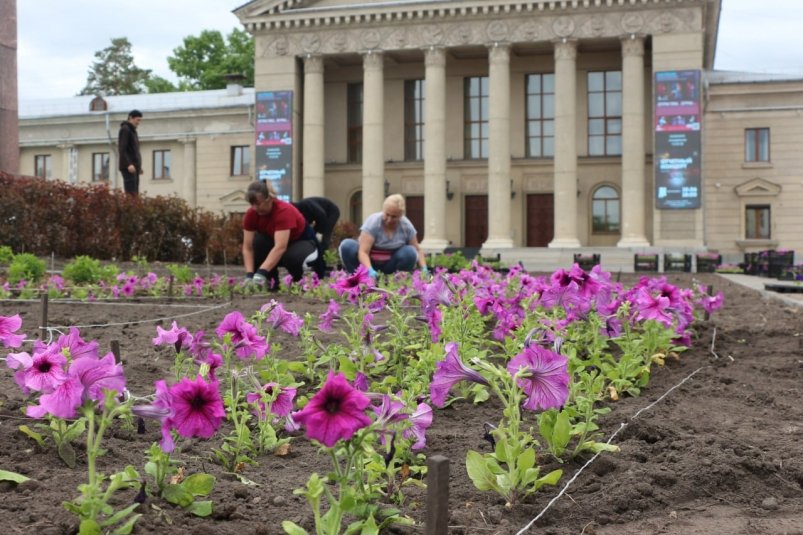 Озеленение администрация АГО