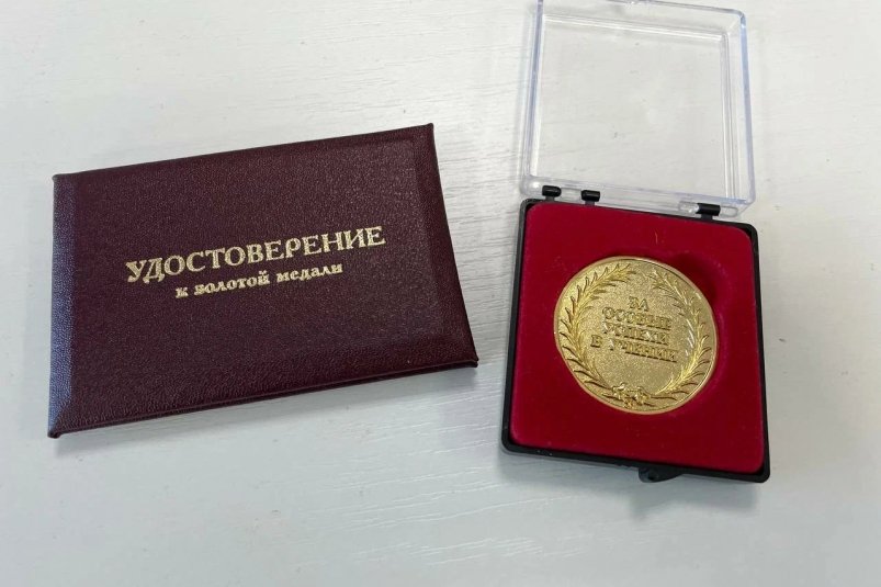 Золотая медаль, школа ИА StolicaMedia