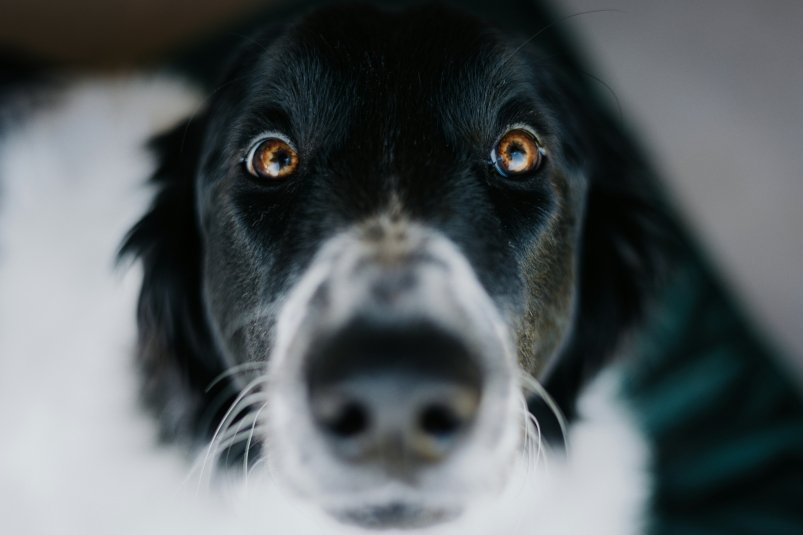 Тематическое фото unsplash.com (18+)
