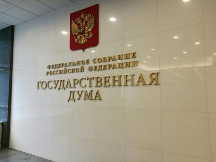 Госдума Ольга Кишаковская, ИА PrimaMedia