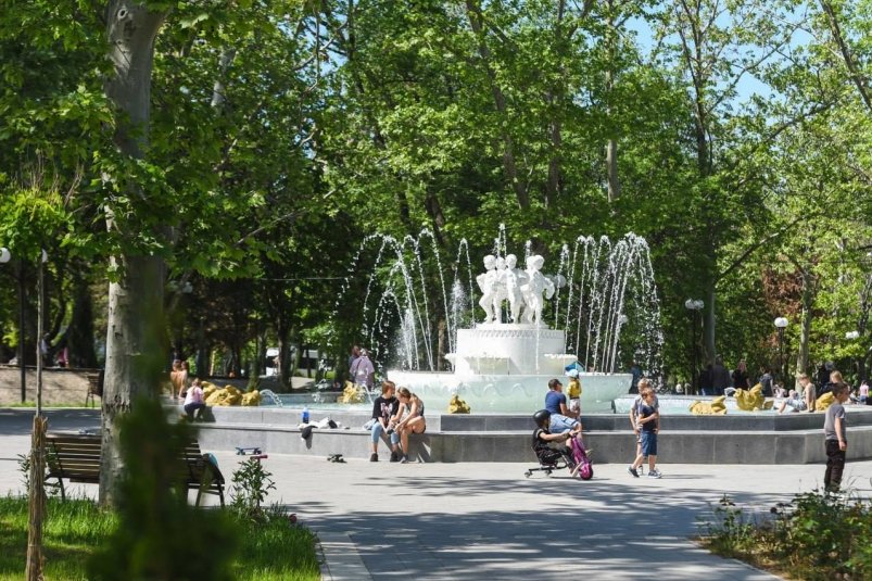 Дети Соцсети губернатора города Михаила Развожаева