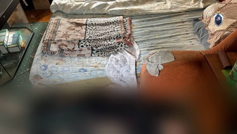 Отец зарезал своего сына в квартире в Москве Пресс-служба Следственного комитета России