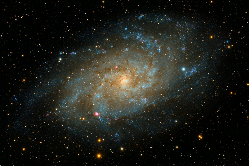 Тематическое фото https://unsplash.com/
