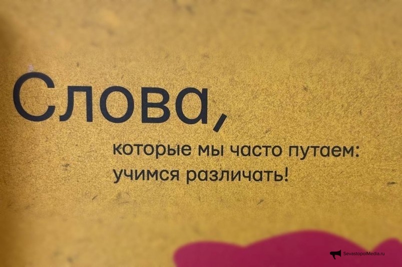 Тематическое фото ИА StolicaMedia