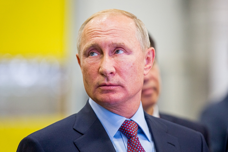 Президент РФ Владимир Путин Мария Смитюк, ИА PrimaMedia