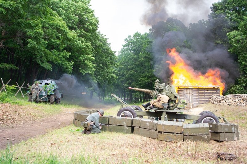 Военно-исторический фестиваль "Дальневосточный форпост" в прошел в ЕАО правительство ЕАО