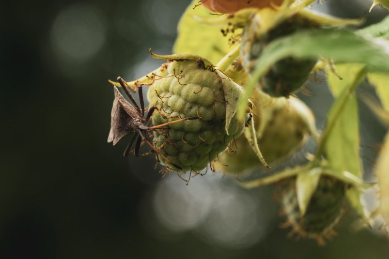 Тематическое фото unsplash.com