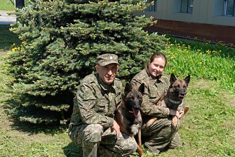 Кинологи Камчатского отделения таможни завоевали призы на Чемпионате ФТС России Пресс-служб Сахалинской таможни