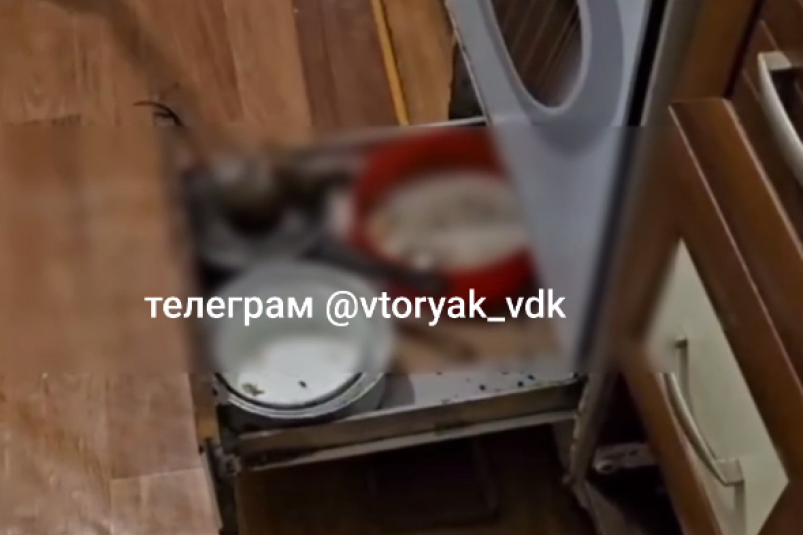 Тематическое фото тг-канал &quotvtoryak_vdk" (18+)