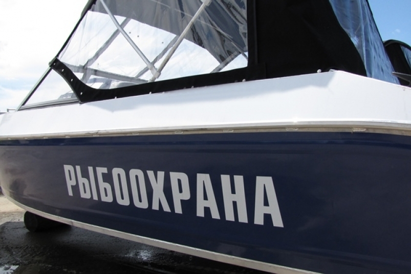 Тематическое фото http://fish.gov.ru