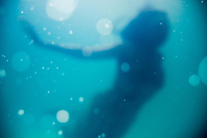 Тематическое фото https://unsplash.com/