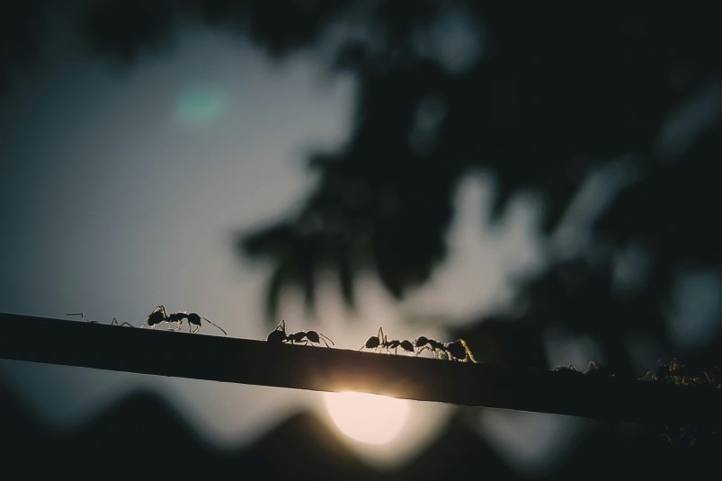  unsplash.com