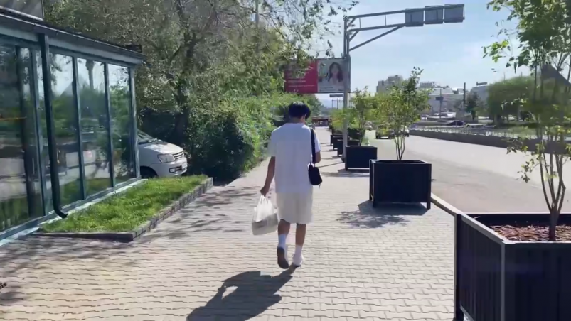 Новые мобильные кадки с кленами администрация г. Улан-Удэ