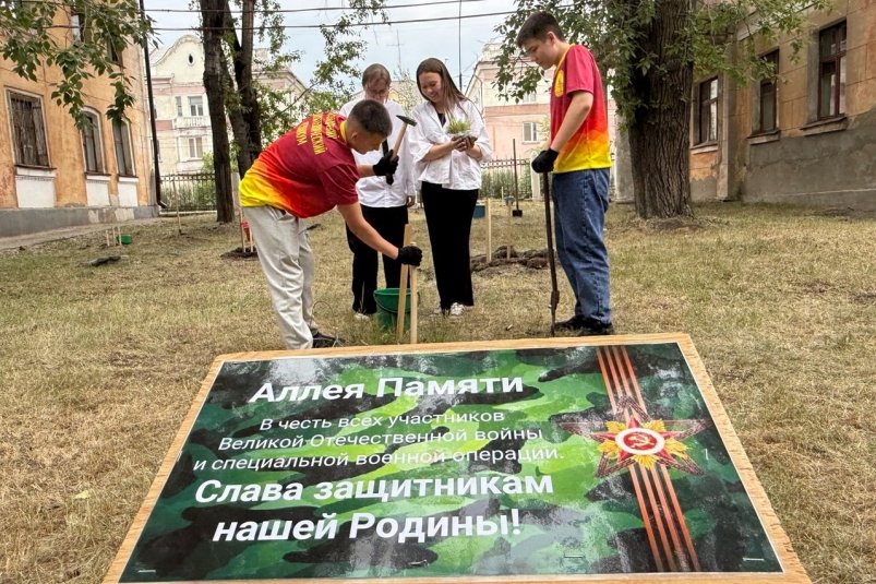 Аллея из сосен в память о защитниках Отечества появилась в Ангарске Пресс-служба администрации АГО