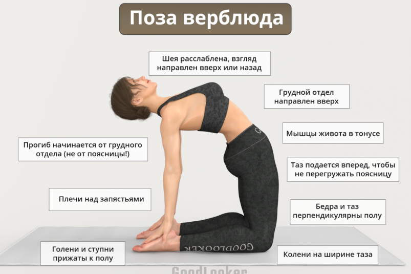 Тематическое фото Дзен-блог "Фитнес с GoodLooker" (12+)
