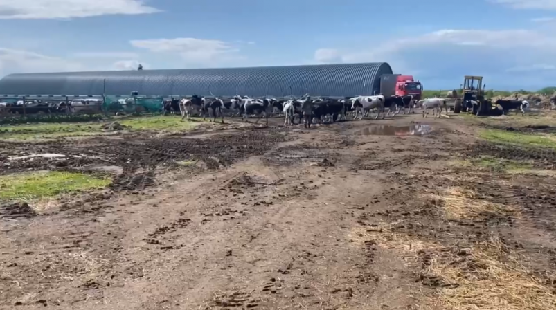 Ферма Скриншот видео. Прокуратура Камчатского края