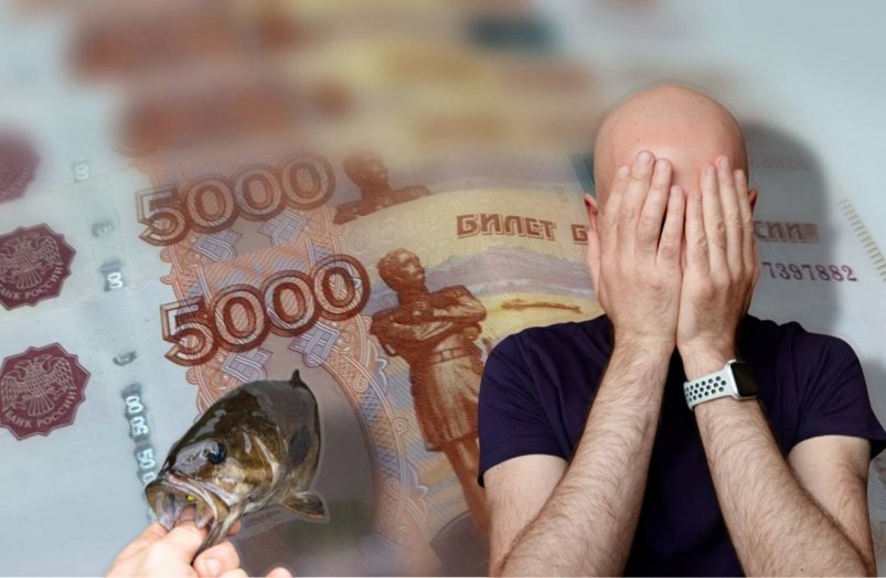 Деньги, рыба, человек Коллаж ИА StolicaMedia и unsplash.com