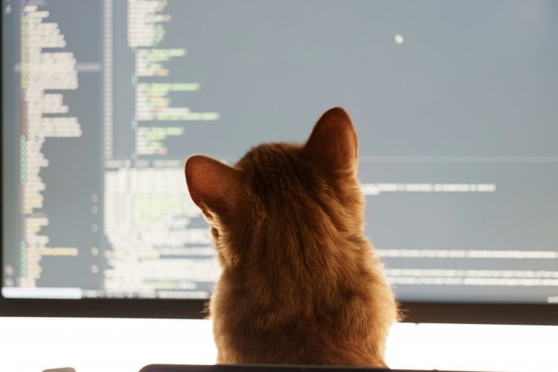 Тематическое фото unsplash.com