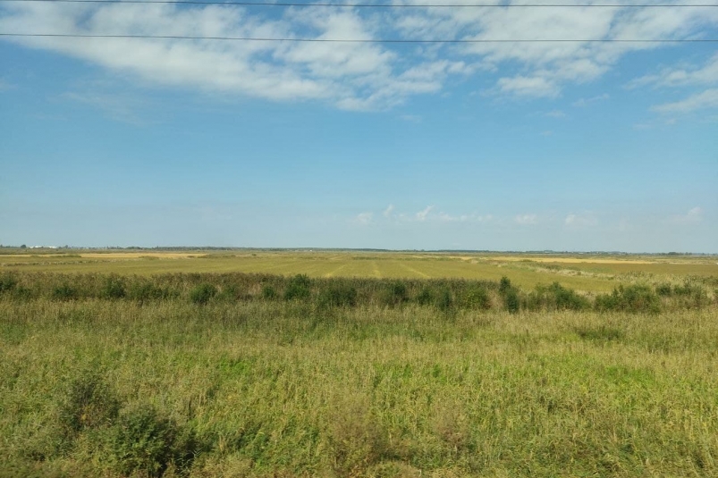 Поле Петр Максимов
