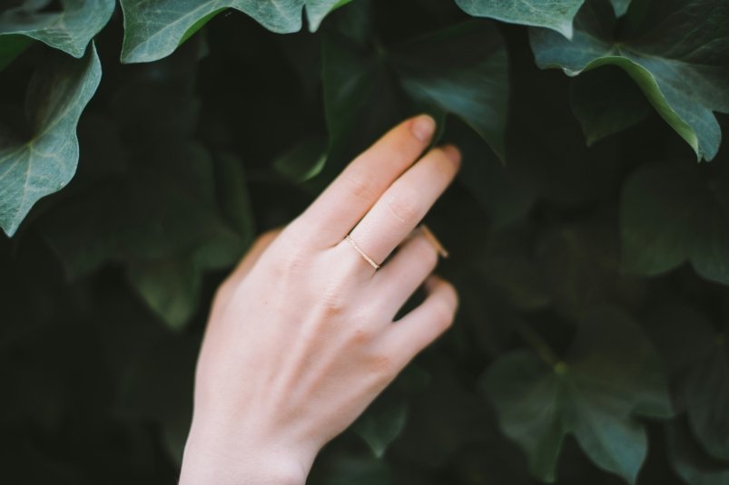 Тематическое фото unsplash.com