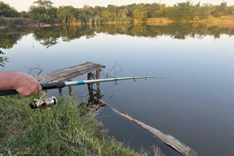 Плеснул прямо в воду - и пошло клевать: 1 секрет для улова даже в жару ИА Stavropol.Media