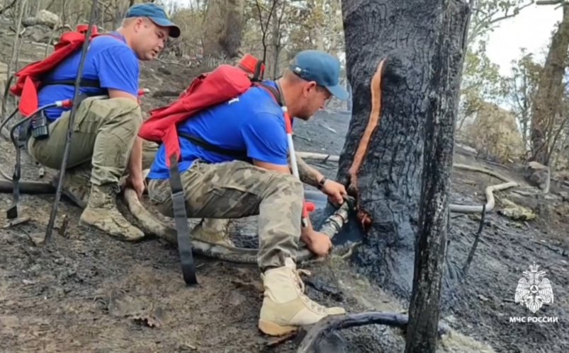 Кадр из видео Соцсети ГУ МЧС по РК