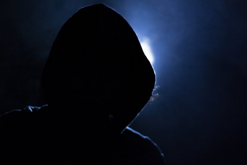 Тематическое фото pxhere.com