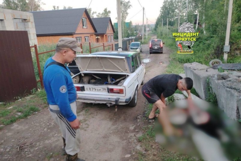 Неизвестный жестоко убил собаку в Смоленщине Иркутского района "Инцидент 38" в тг (18+)