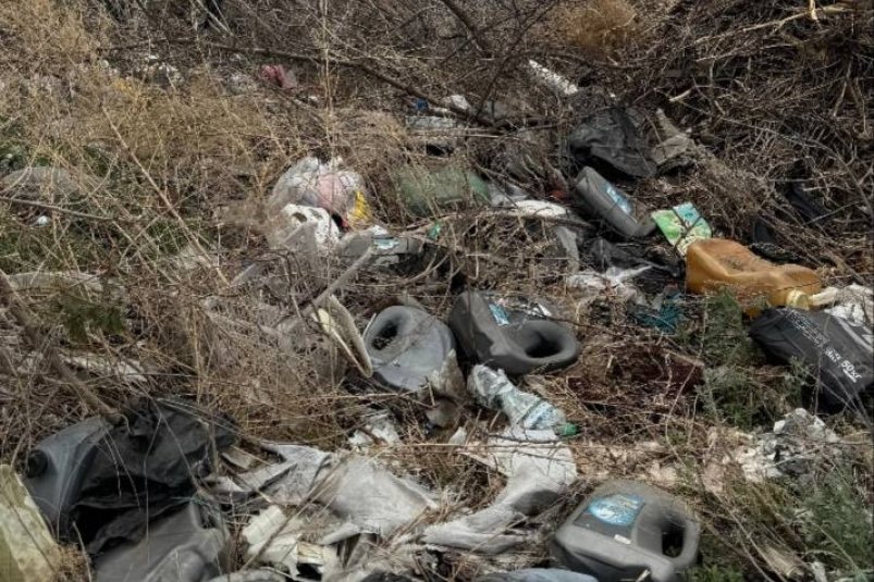 Несанкционированную свалку выявили в Тамбовском округе ТУ Россельхознадзора по Амурской области и Республике Саха (Якутия)