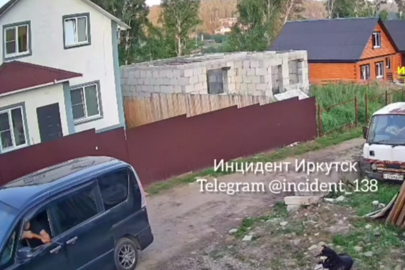 В Иркутском районе мужчина застрелил чужую собаку из-за якобы покусанного скота Скриншот видео