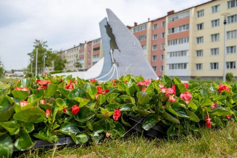 Почти 500 тысяч цветов украсили летние клумбы Южно-Сахалинска пресс-служба администрации Южно-Сахалинска